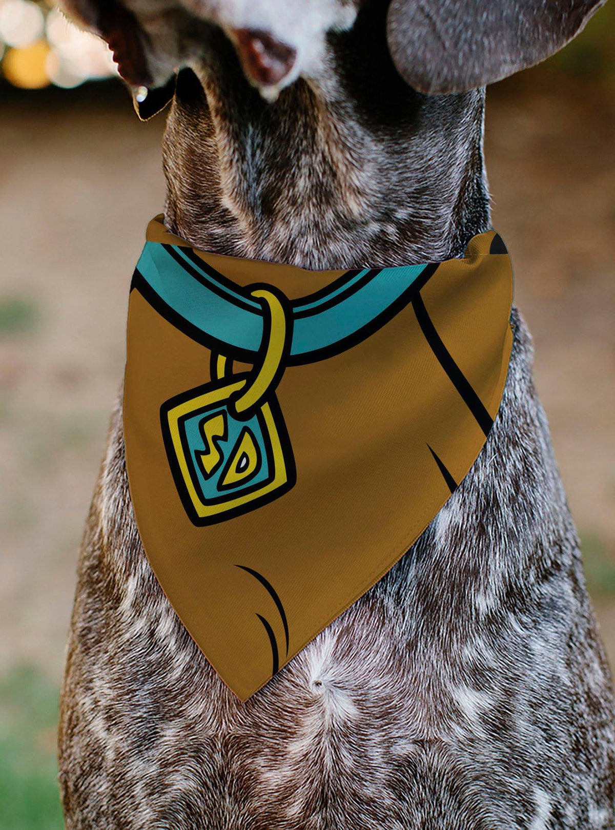 Bandana para mascota Scooby-Doo