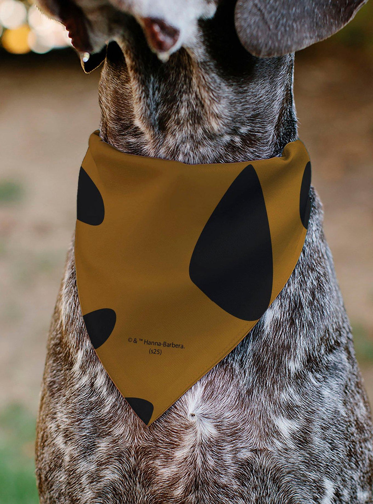 Bandana para mascota Scooby-Doo