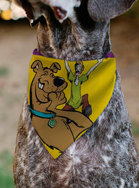 Bandana para mascota Scooby-Doo! y Shaggy
