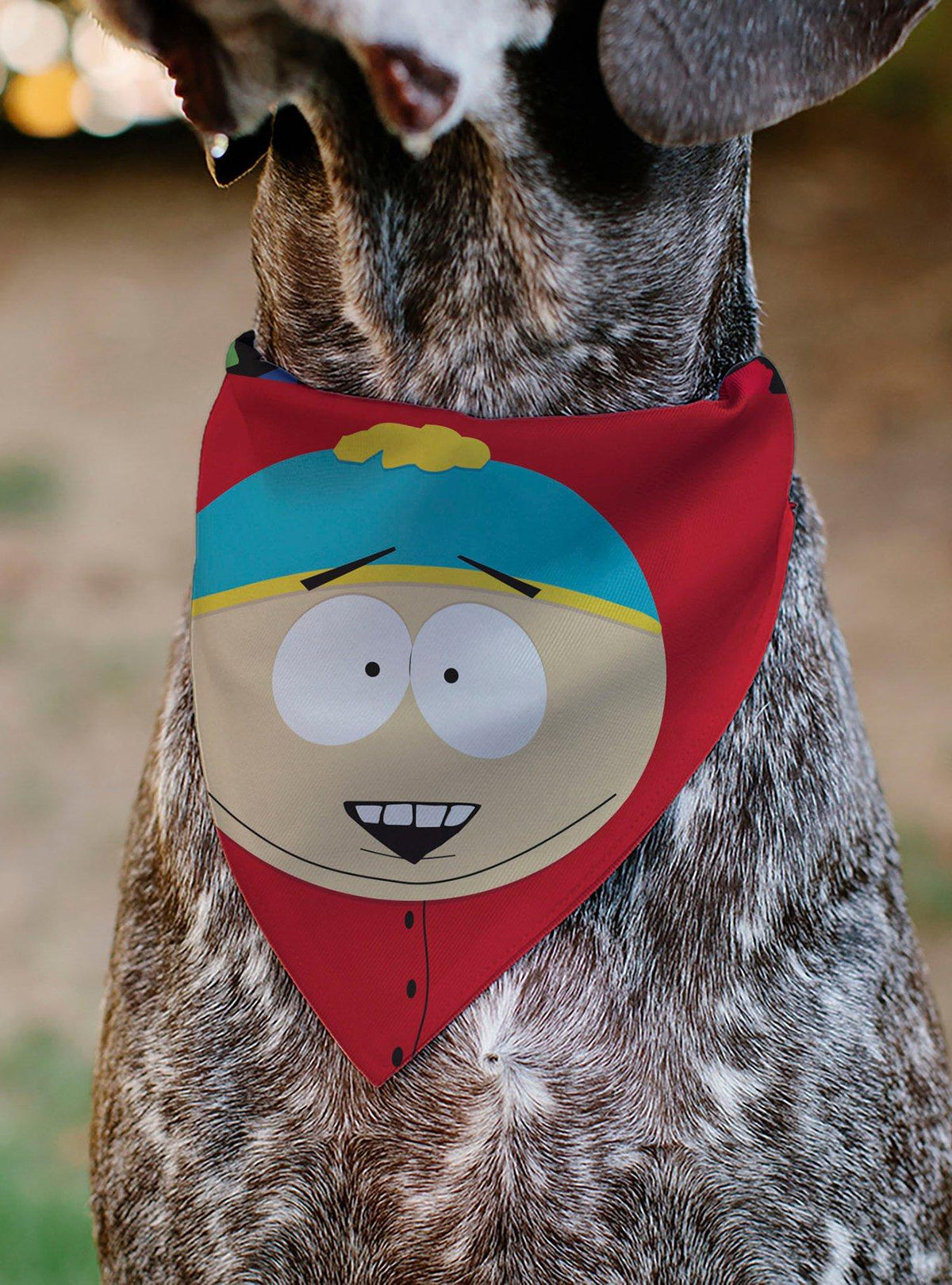 Bandana para collar de mascota South Park: Eric Cartman