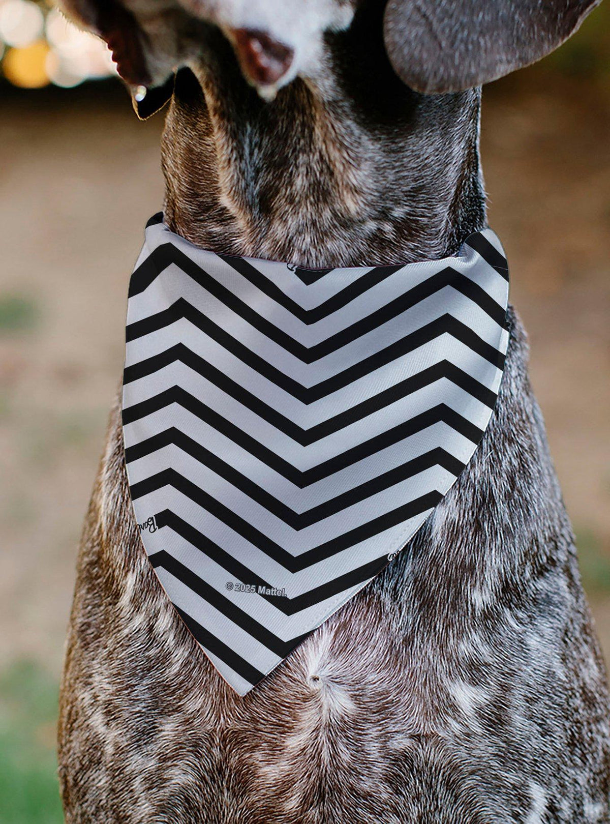 Bandana para mascota Barbie negra con corazones y chevrón