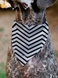 Bandana para mascota Barbie negra con corazones y chevrón