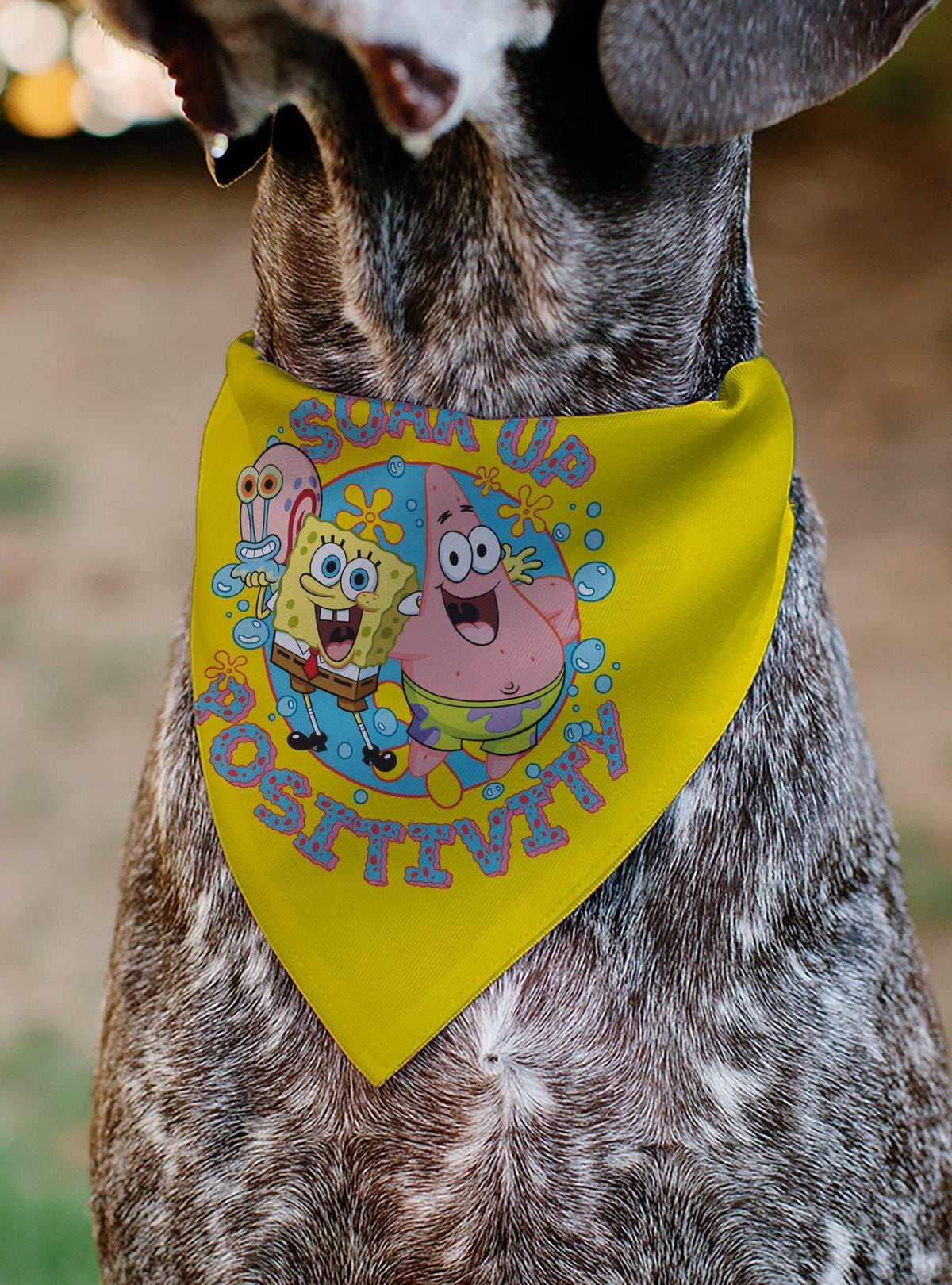 Bandana para mascota de SpongeBob SquarePants y amigos