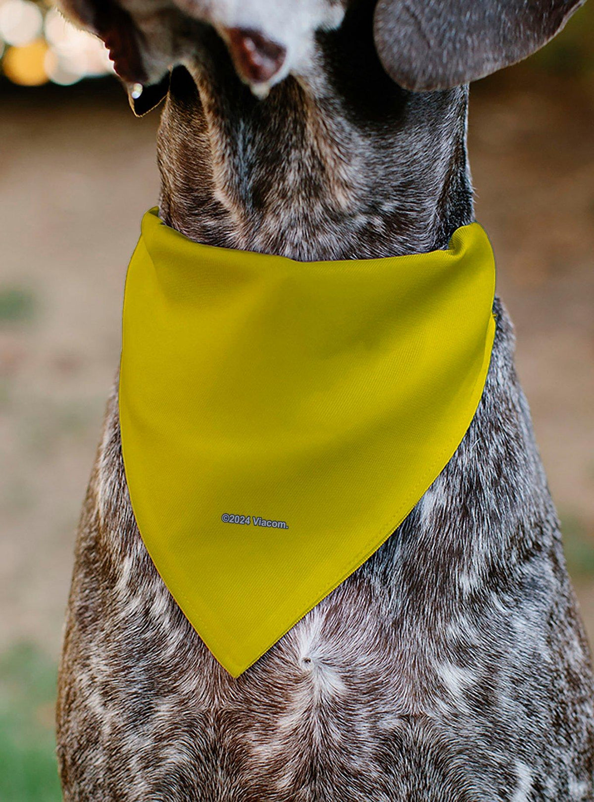 Bandana para mascota de SpongeBob SquarePants y amigos
