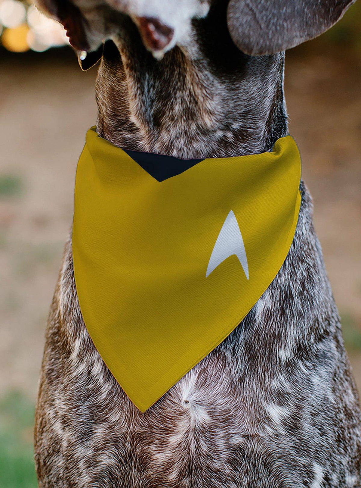 Pañuelo para mascota Star Trek: uniforme dorado de Kirk