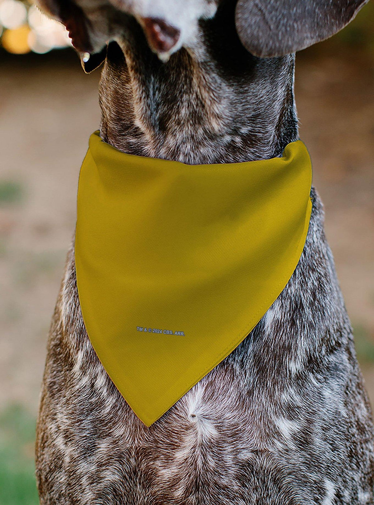 Pañuelo para mascota Star Trek: uniforme dorado de Kirk