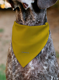 Pañuelo para mascota Star Trek: uniforme dorado de Kirk