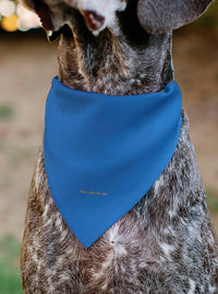 Bandana azul Star Trek: Serie Original para mascota