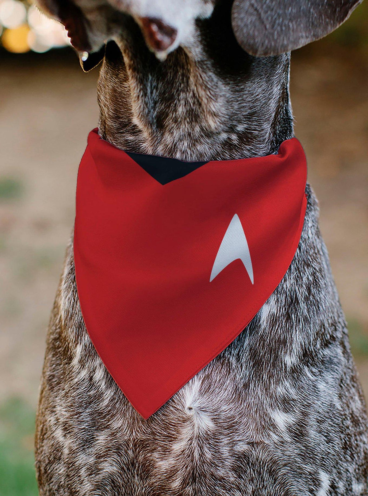 Bandana para mascota Star Trek: Serie Original