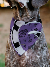 Bandana para mascota Beetlejuice con Sandworm y calaveras
