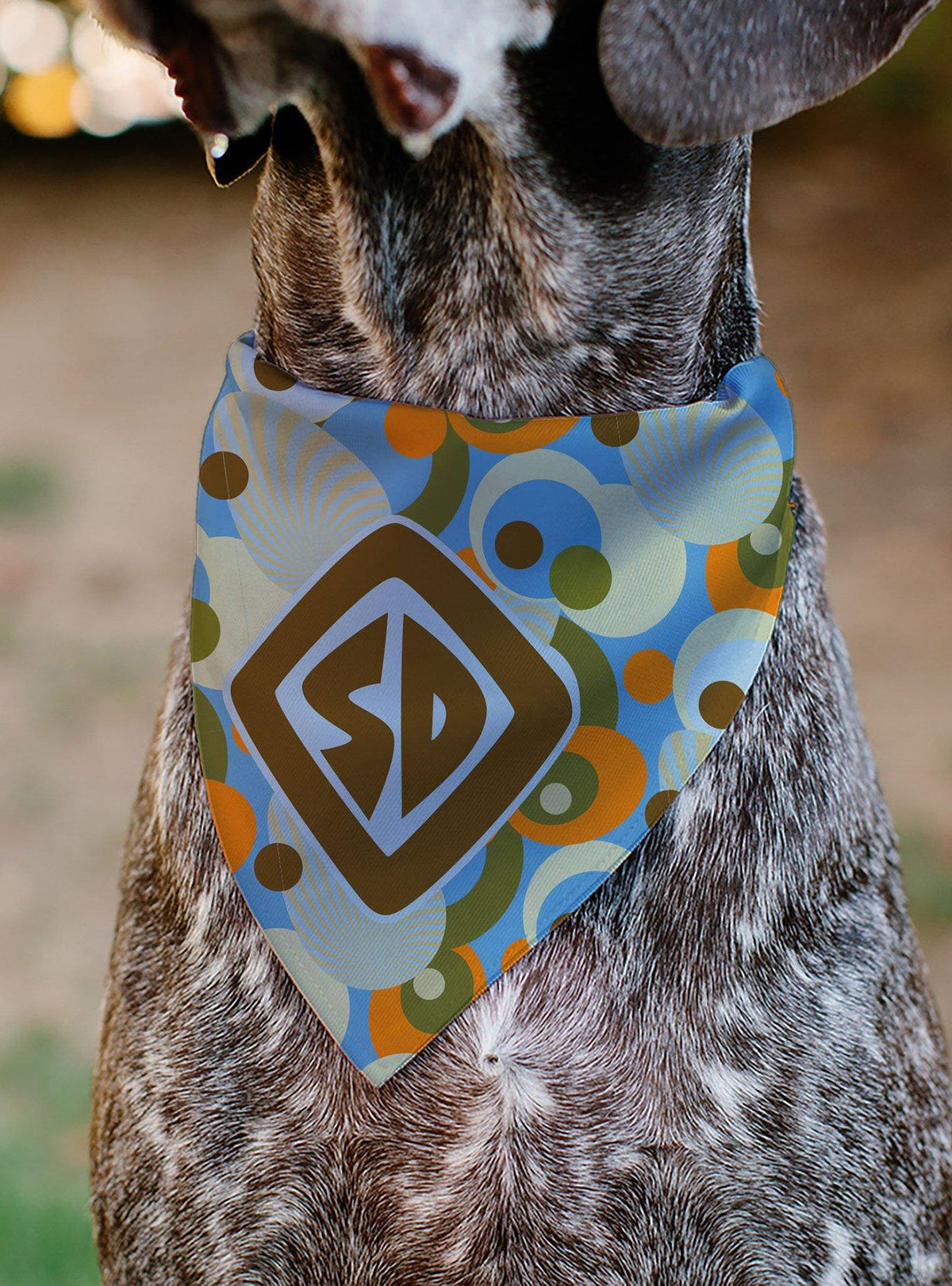 Bandana para mascota Scooby-Doo de puntos retro