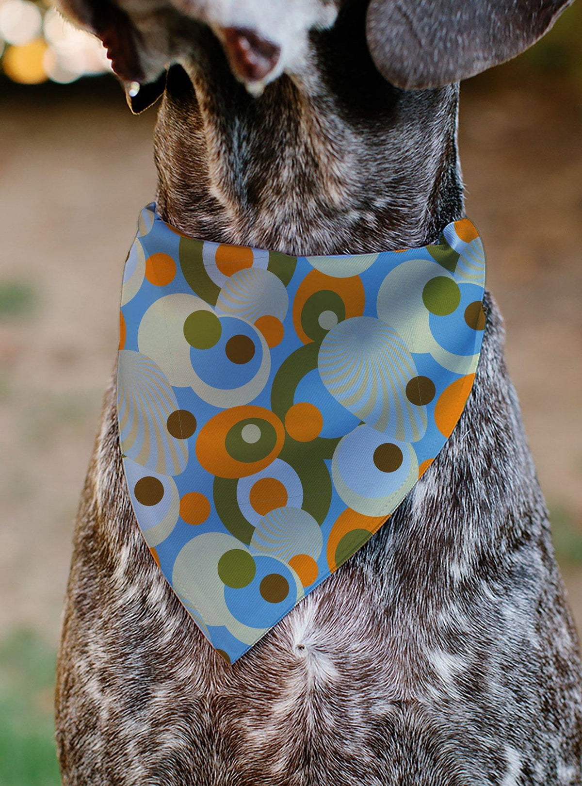 Bandana para mascota Scooby-Doo de puntos retro