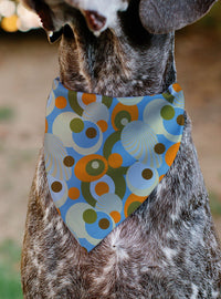 Bandana para mascota Scooby-Doo de puntos retro