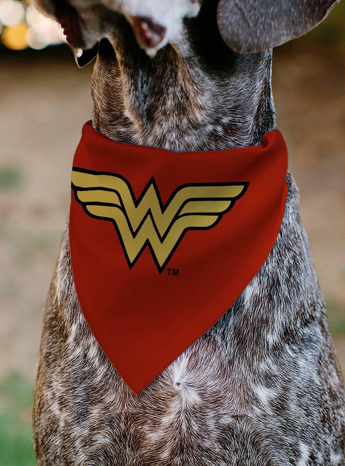 Bandana para perro Wonder Woman con logo WW