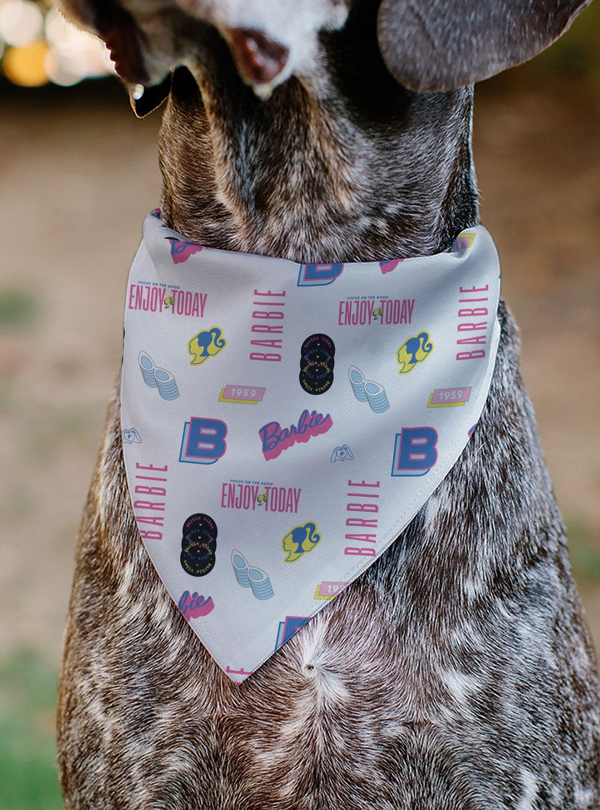 Bandana para mascota Barbie Enjoy Today