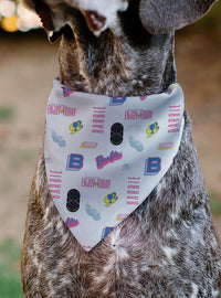 Bandana para mascota Barbie Enjoy Today