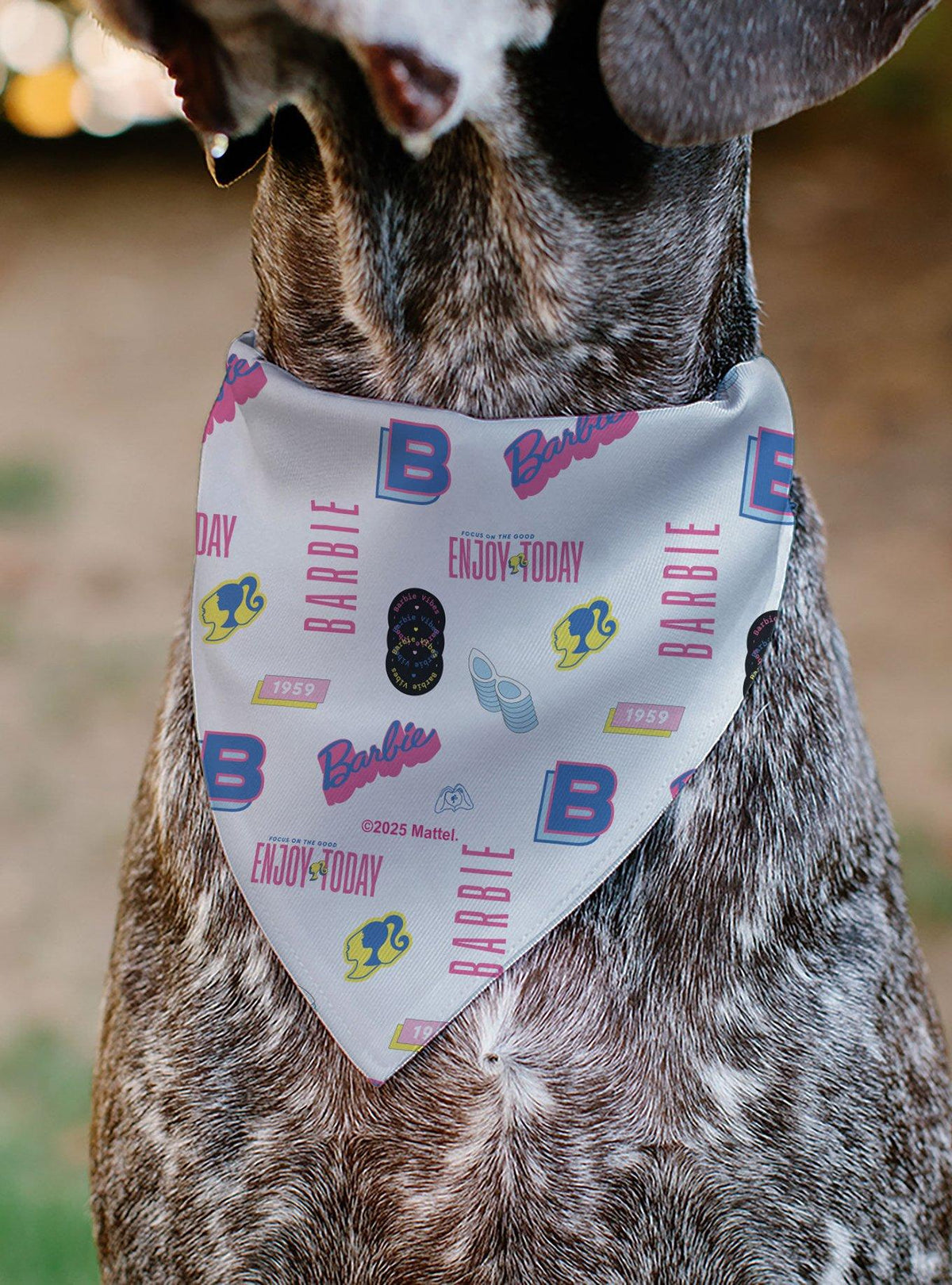 Bandana para mascota Barbie Enjoy Today