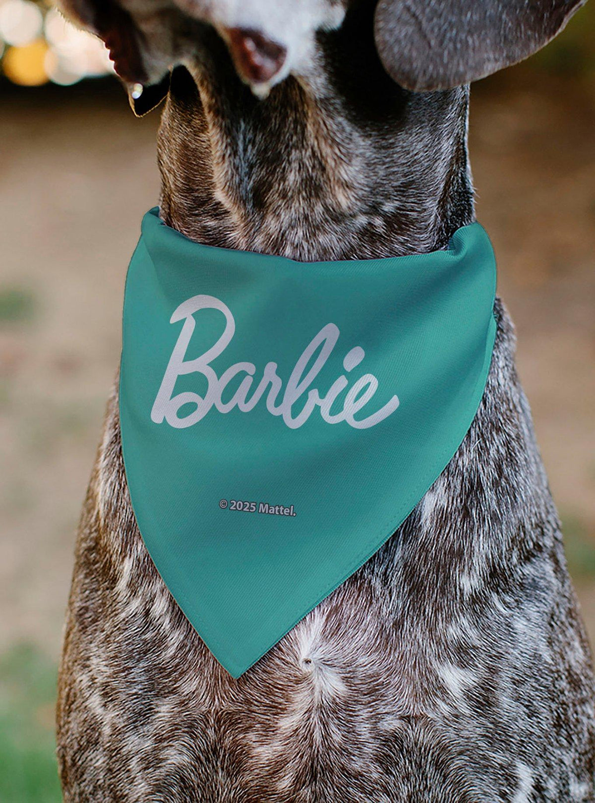 Bandana para mascota Barbie con huellas y diseño pastel
