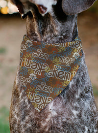 Bandana para mascota Barbie y Ken multicolor