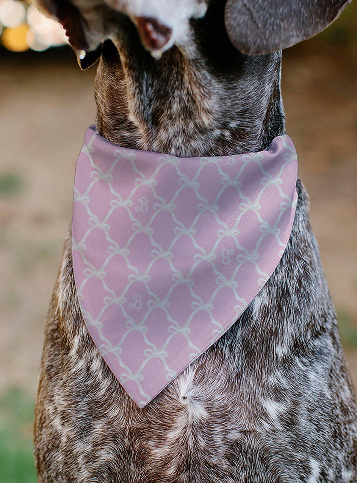 Bandana para mascota Barbie con lazo y monograma B