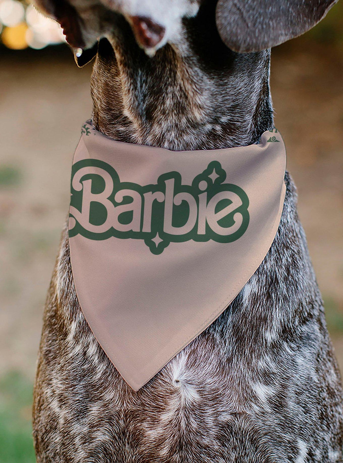 Bandana para mascota Barbie California Dreamin (solo bandana)