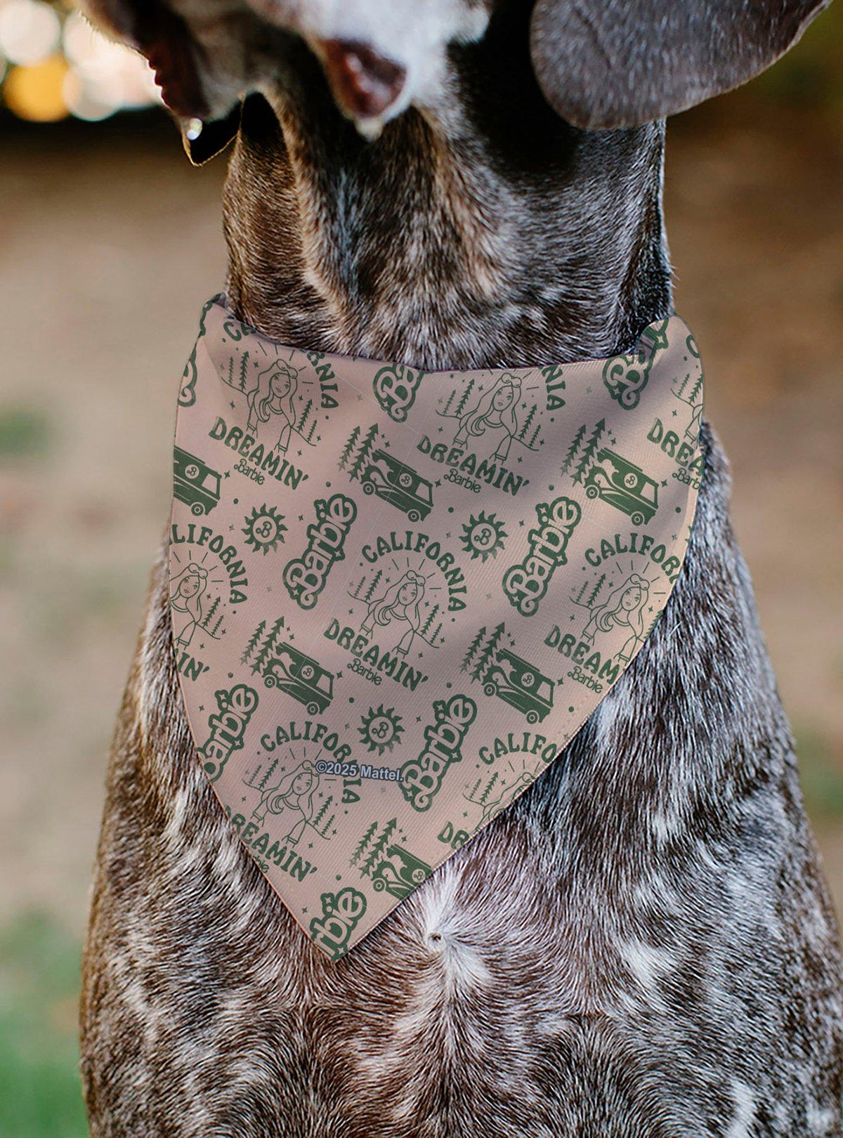 Bandana para mascota Barbie California Dreamin (solo bandana)