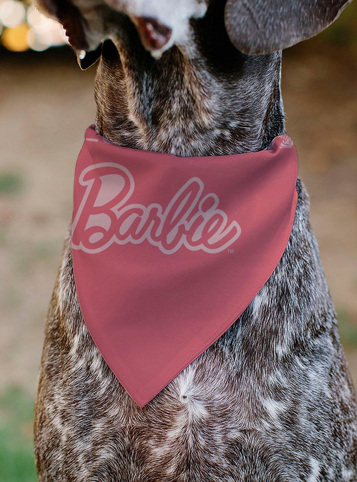 Bandana para collar de mascota Barbie Malibu Beach