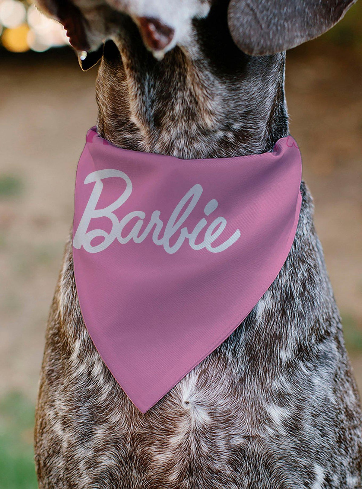 Bandana Barbie deslizable para collar de mascota