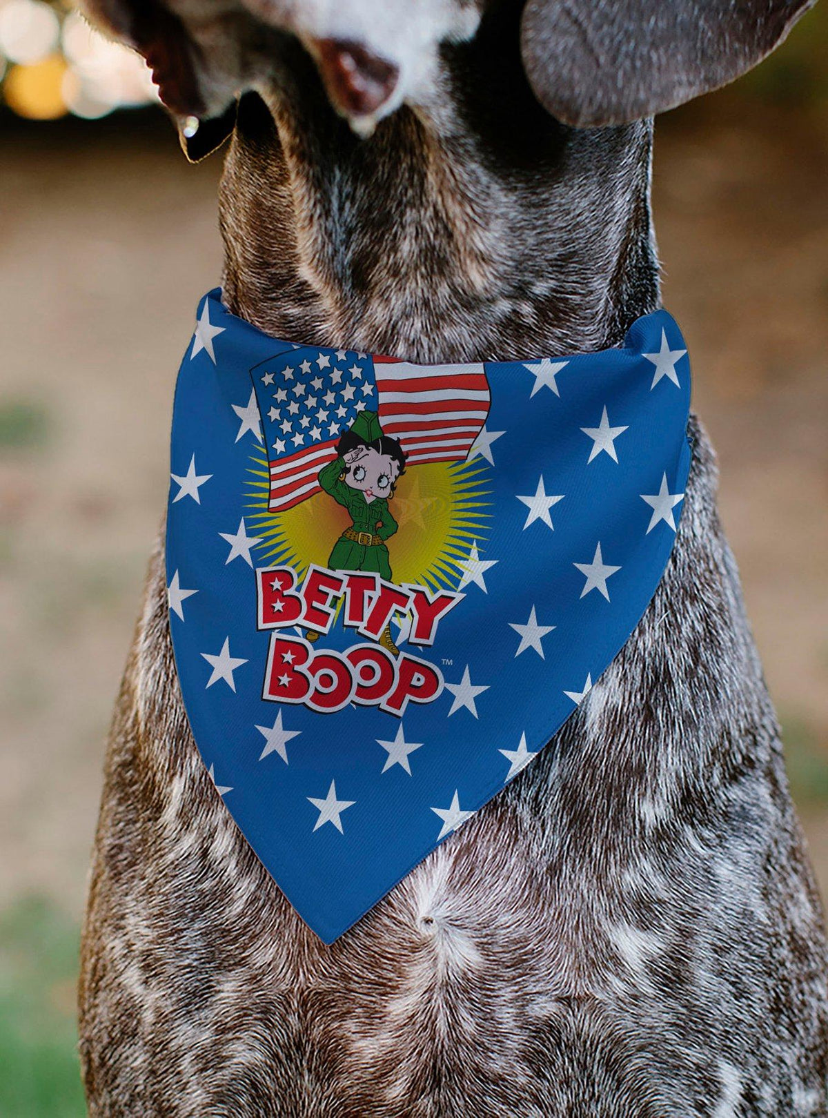 Bandana para mascota Betty Boop con estrellas
