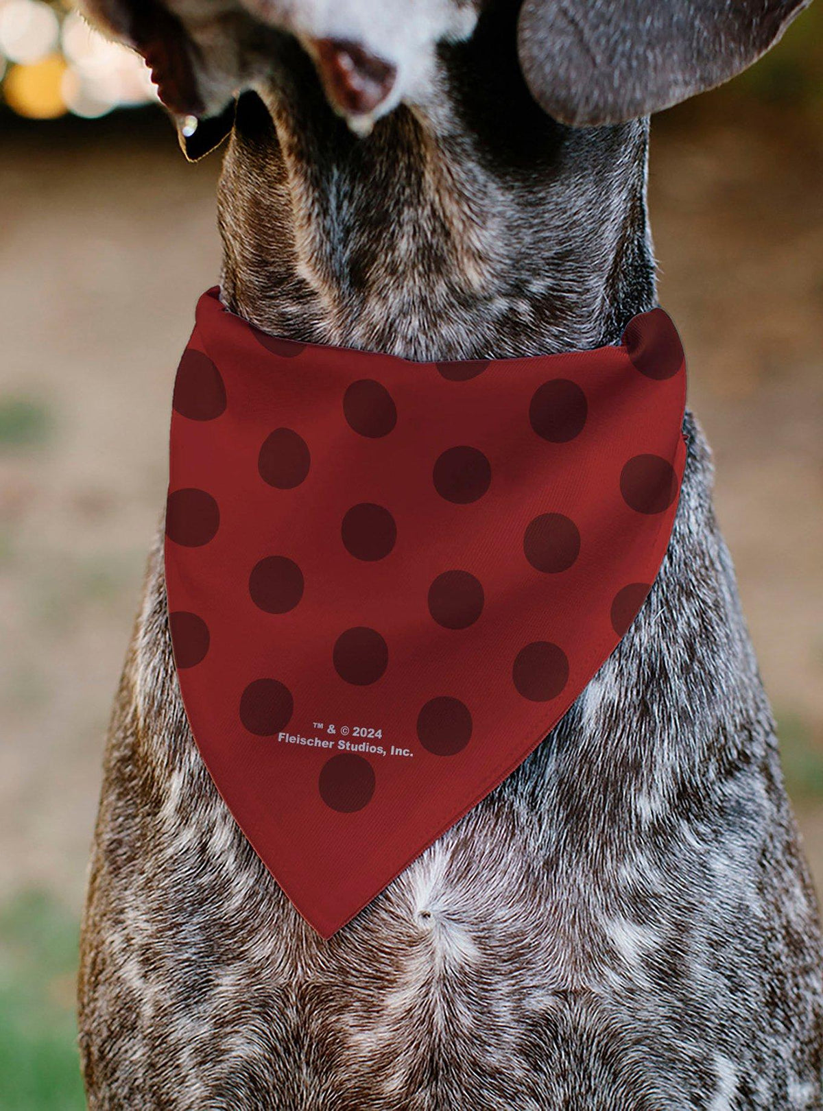 Bandana Betty Boop de lunares para collar