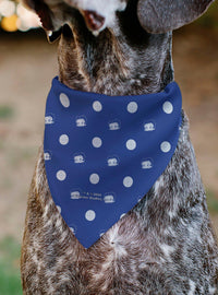 Bandana para mascota Betty Boop USA Heart Pose