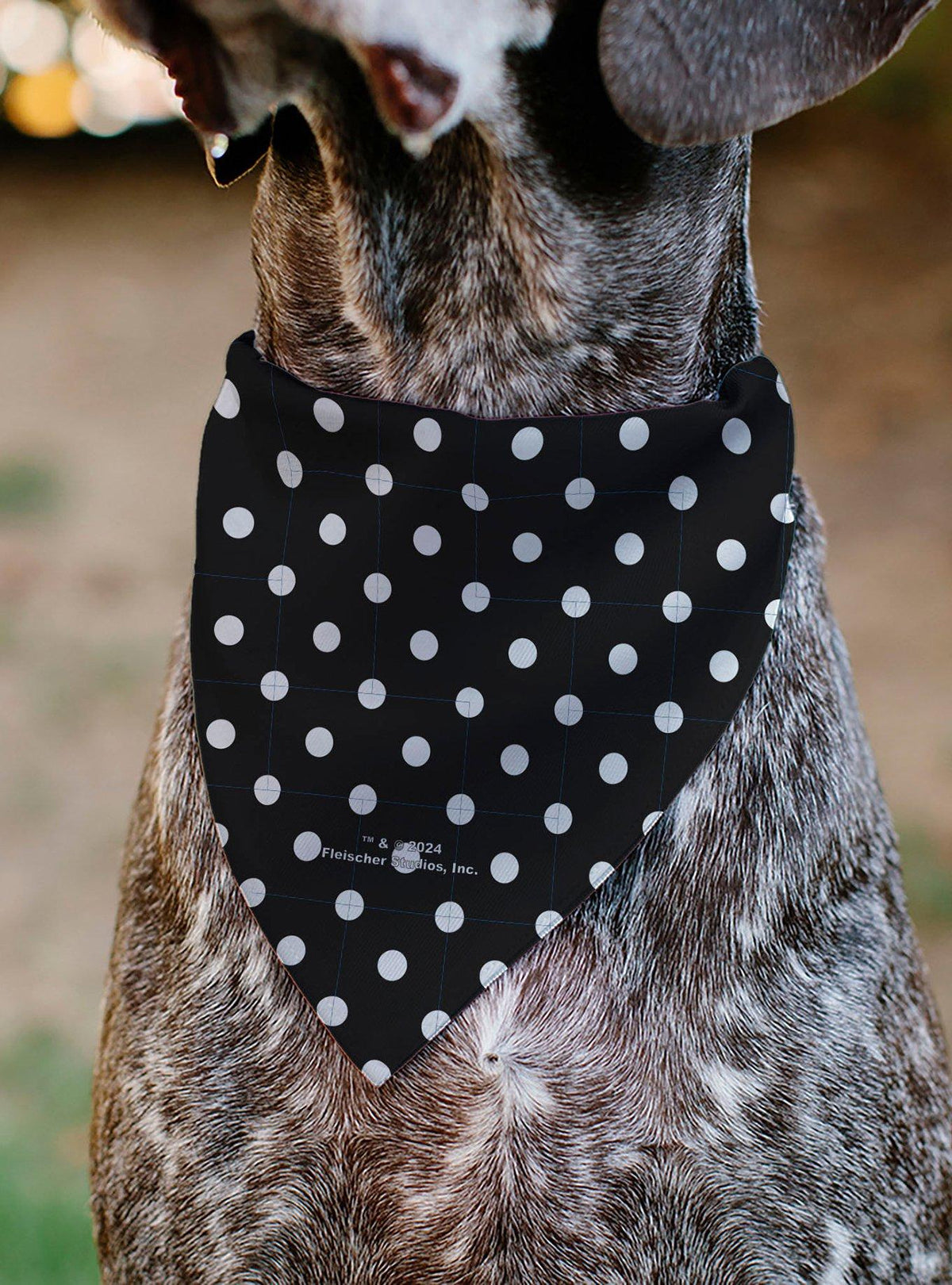 Bandana para mascota Betty Boop Biker Betty