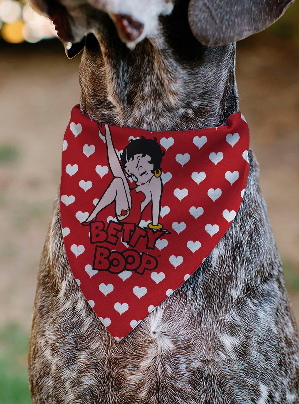 Bandana blanca para mascota Betty Boop con corazones