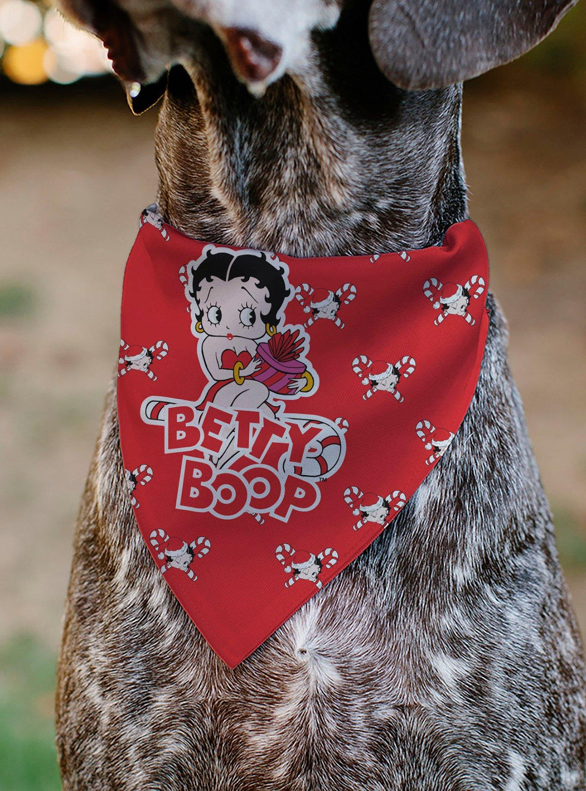 Bandana navideña para mascota Betty Boop