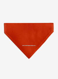 Bandana para collar de mascota Betty Boop