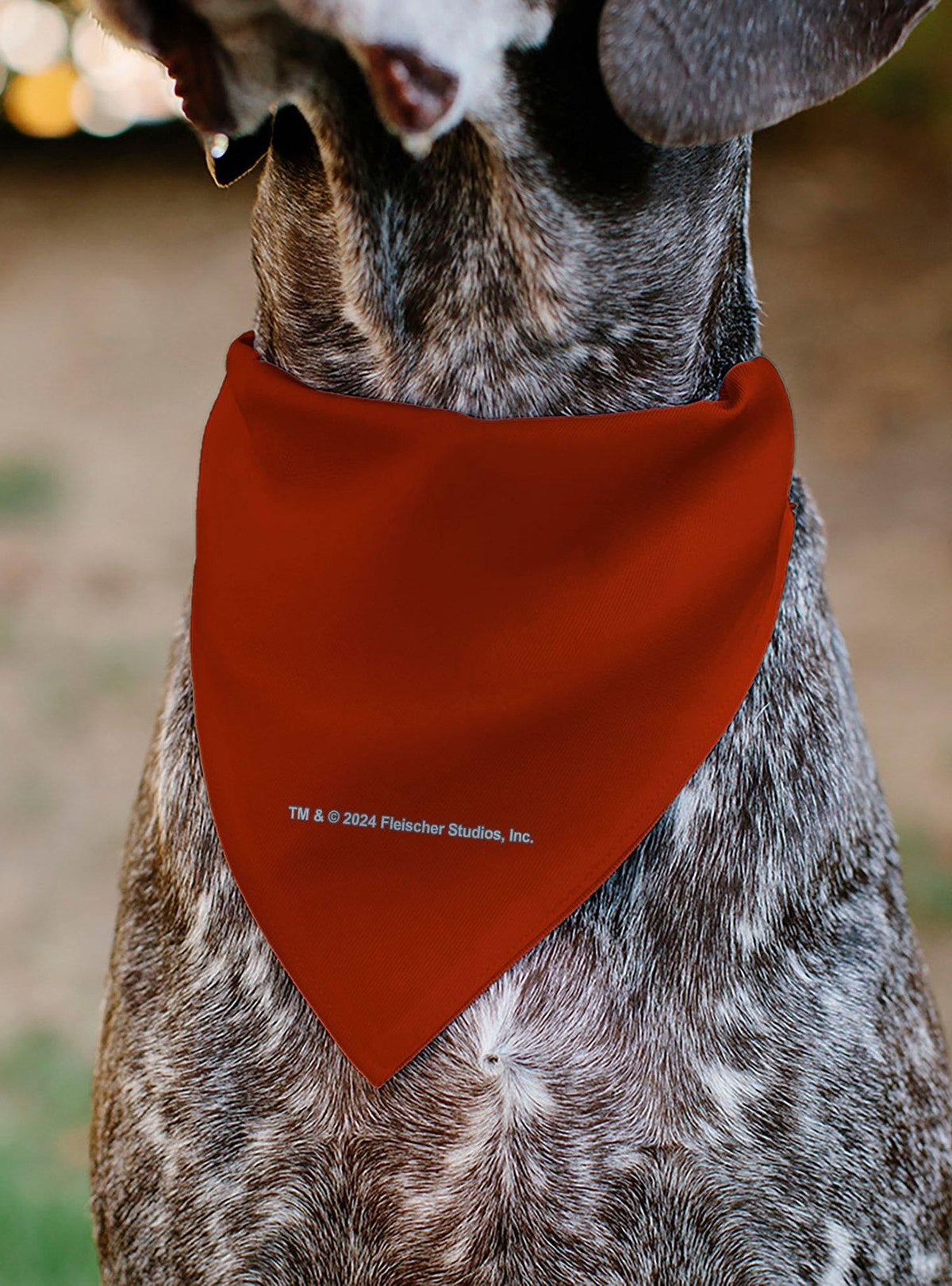 Bandana para collar de mascota Betty Boop