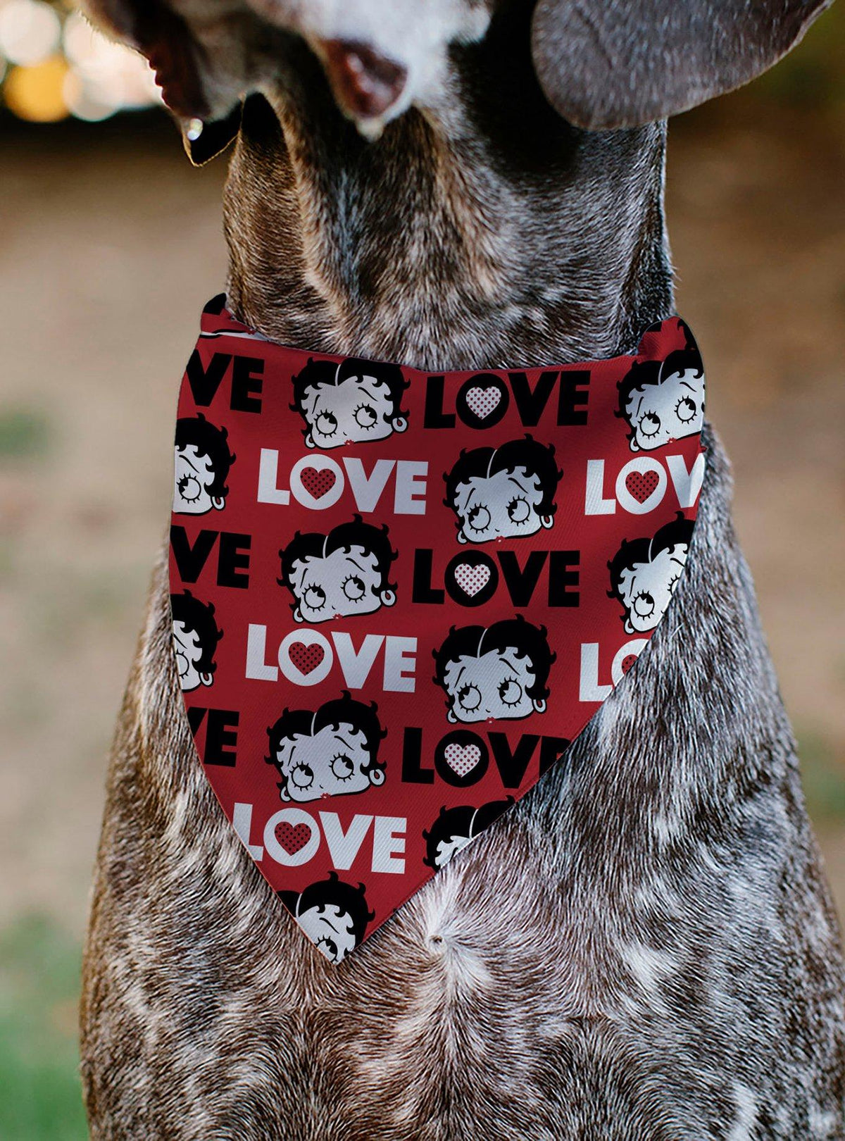Bandana para mascota Betty Boop con texto Love