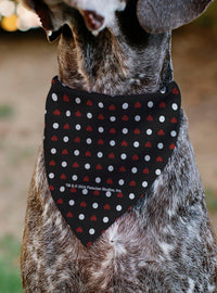 Bandana negra para mascota Betty Boop con lunares y corazón