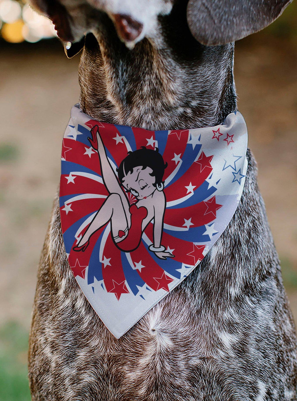 Bandana para mascota Betty Boop Americana