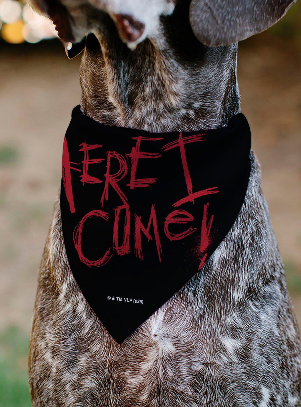 Bandana para mascota Pesadilla en la calle Elm