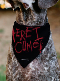 Bandana para mascota Pesadilla en la calle Elm