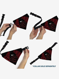 Bandana para mascota Freddy - A Nightmare on Elm Street