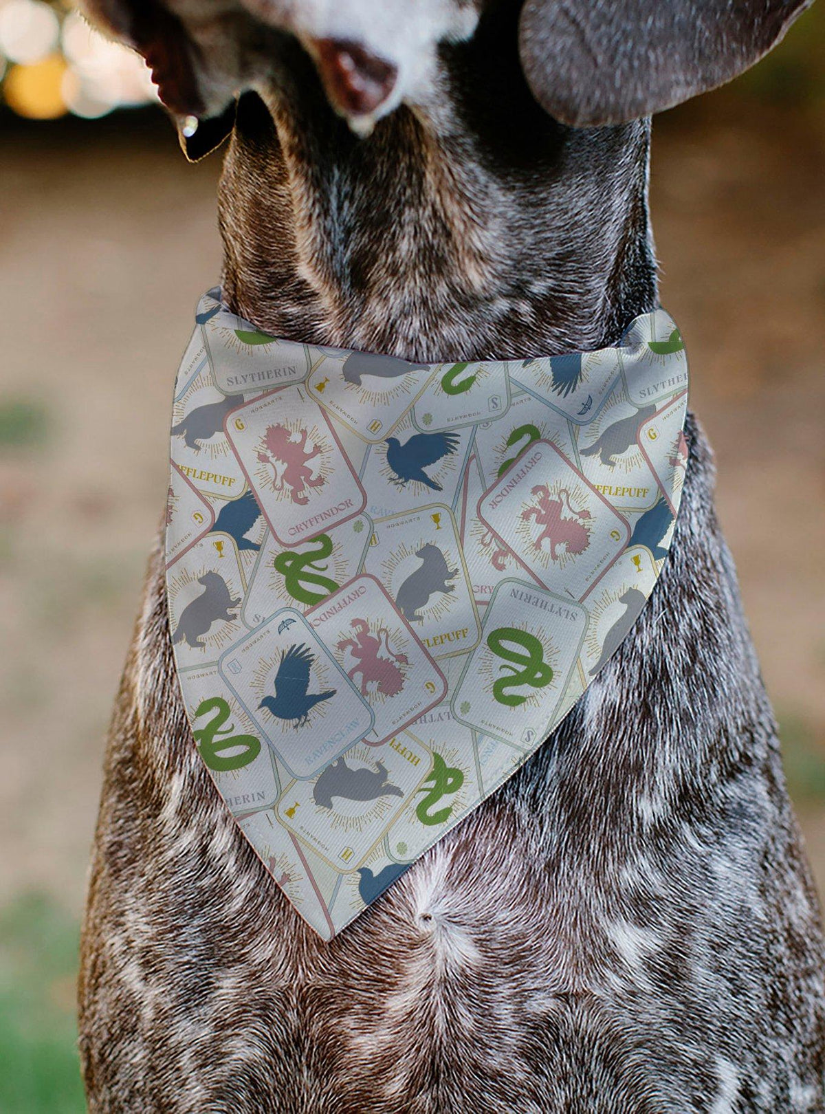 Bandana para mascota Harry Potter con diseño de tarot