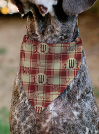 Bandana para mascotas Harry Potter, escudo de los Weasley