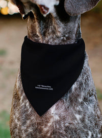 Bandana negra para mascota Harry Potter: Voldemort Chibi