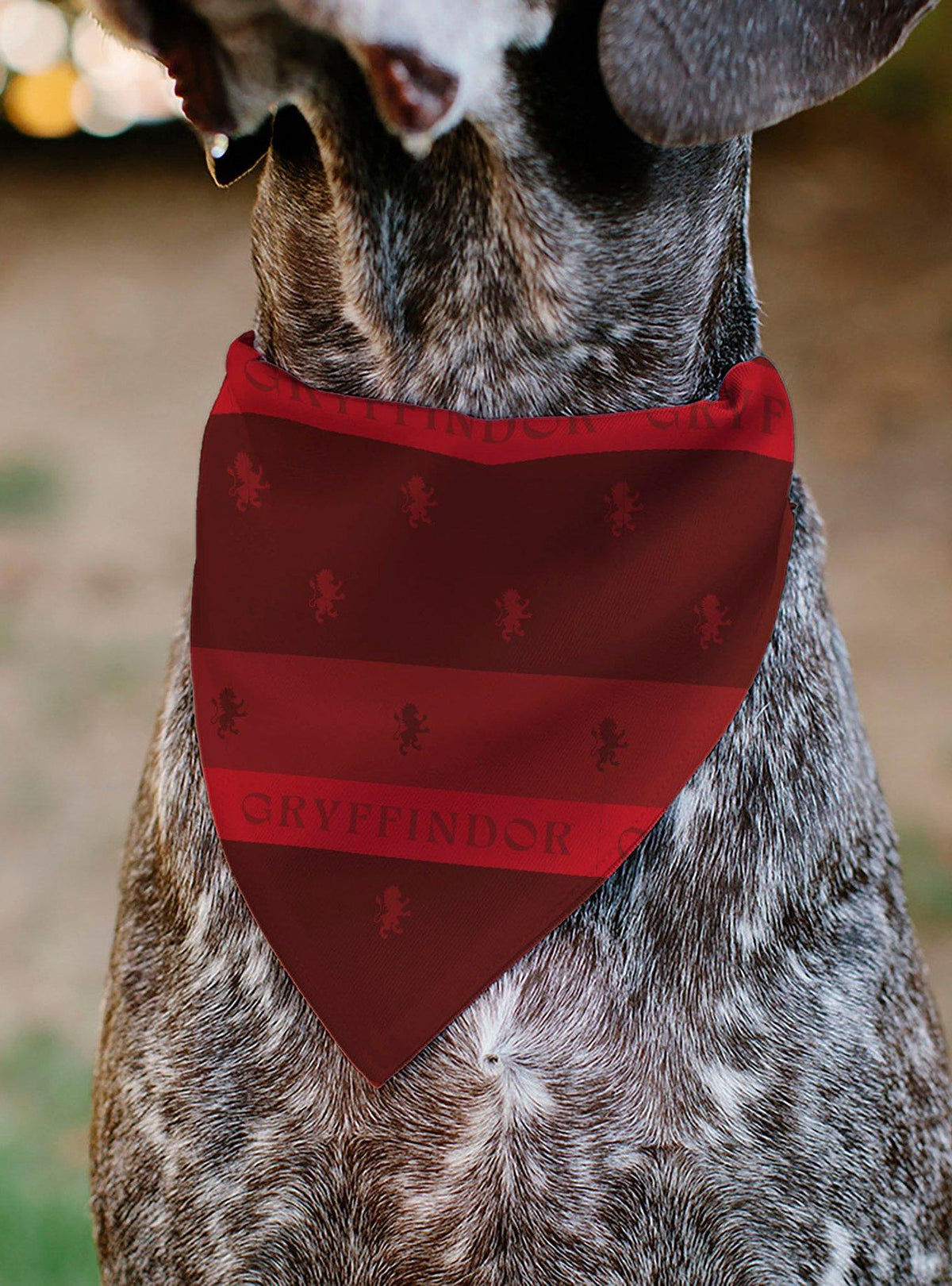Bandana para mascota Harry Potter Gryffindor