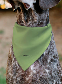 Bandana para mascota Gir de Invader Zim