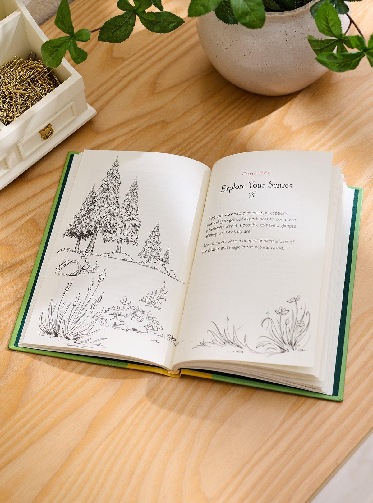 Libro Winnie the Pooh: Un paseo por el bosque