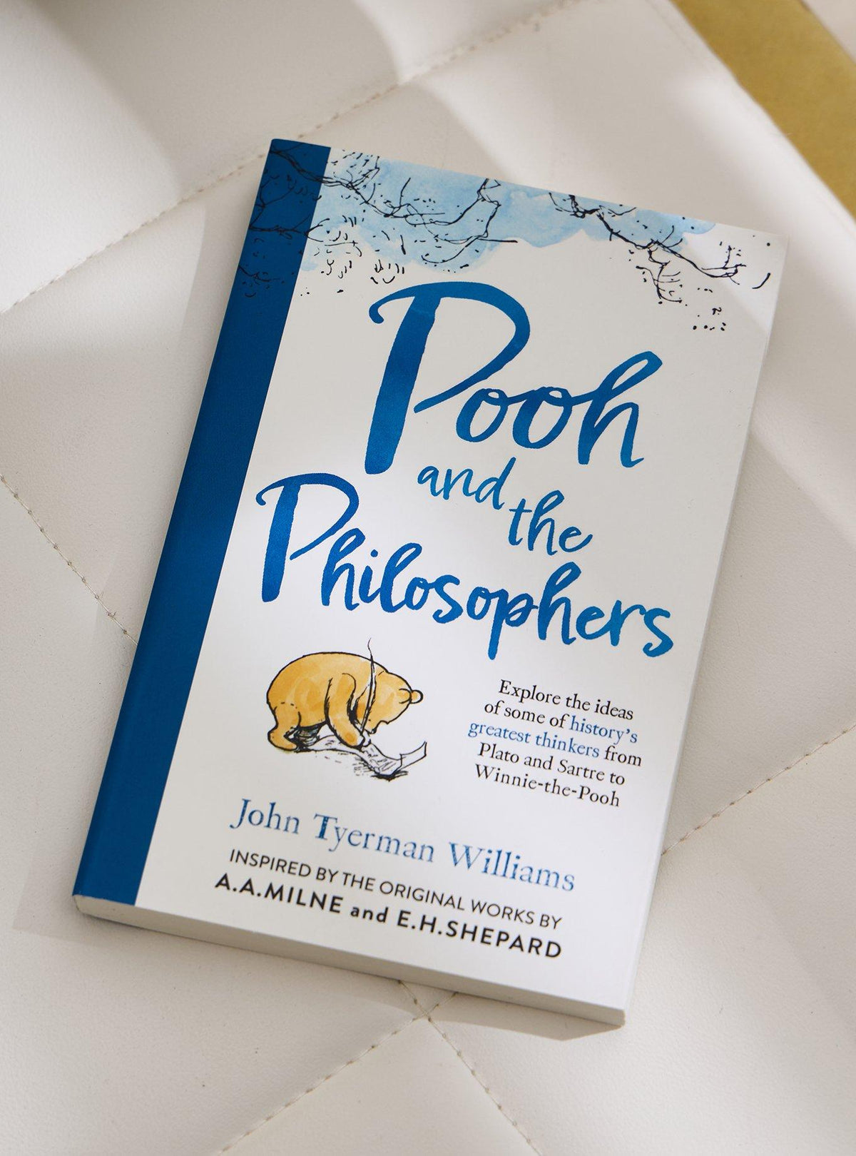 Pooh y los filósofos: libro de Winnie-the-Pooh