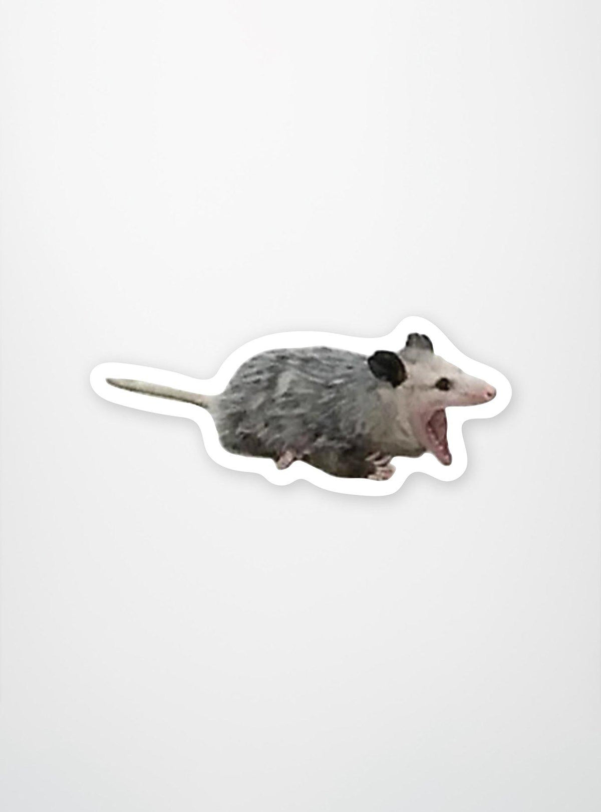 Sticker de zarigüeya gritando